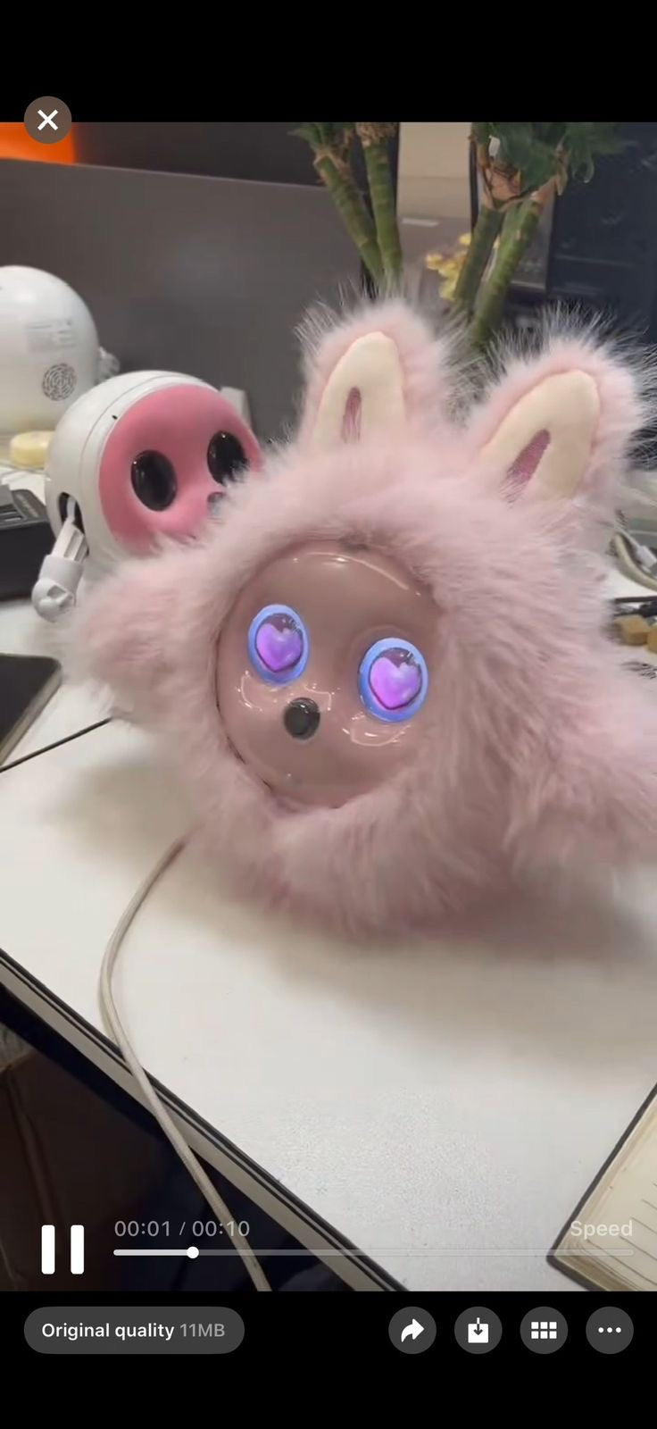 Your Personal AI Learning Partner